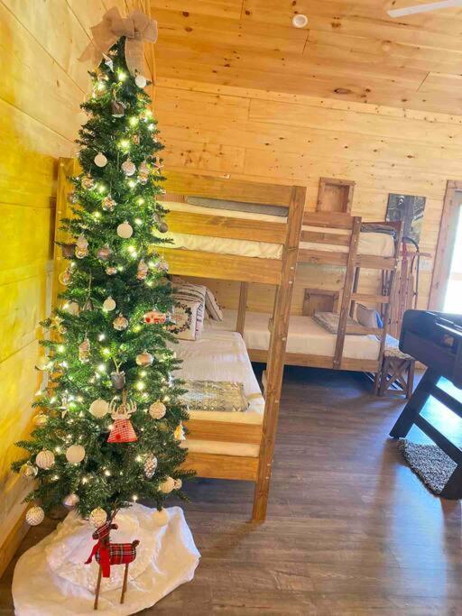 The Grand Tennessean Cabin- Four Bedroom Luxury Cabin In The Mountains 비둘기 포지 외부 사진