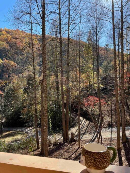 The Grand Tennessean Cabin- Four Bedroom Luxury Cabin In The Mountains 비둘기 포지 외부 사진